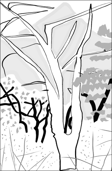 장병언, Digital Drawing, digital_work, 2026